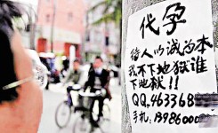 深圳代孕服務變質，代母性交取代試管受孕
