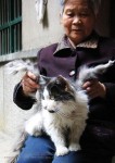 四川发现“天使猫咪”背部长出一对翅膀(图)