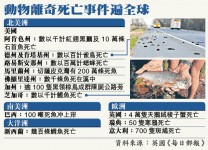 美數百萬蟋蟀離奇死亡