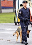 台憲兵操演　軍犬當眾「便便」