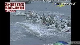 日本 8.9級地震 東京迪士尼被淹